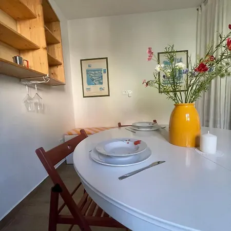 At The Burkulis' Apartment