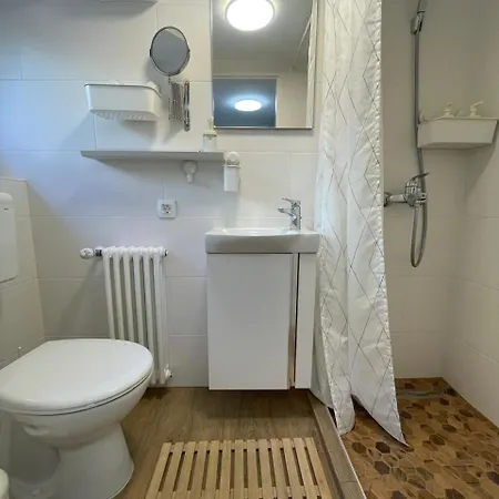 At The Burkulis' Liubliana