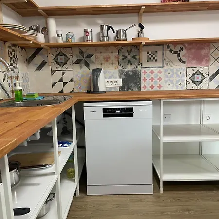 Apartment At The Burkulis' Laibach