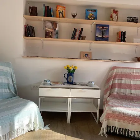 Apartment At The Burkulis' Laibach
