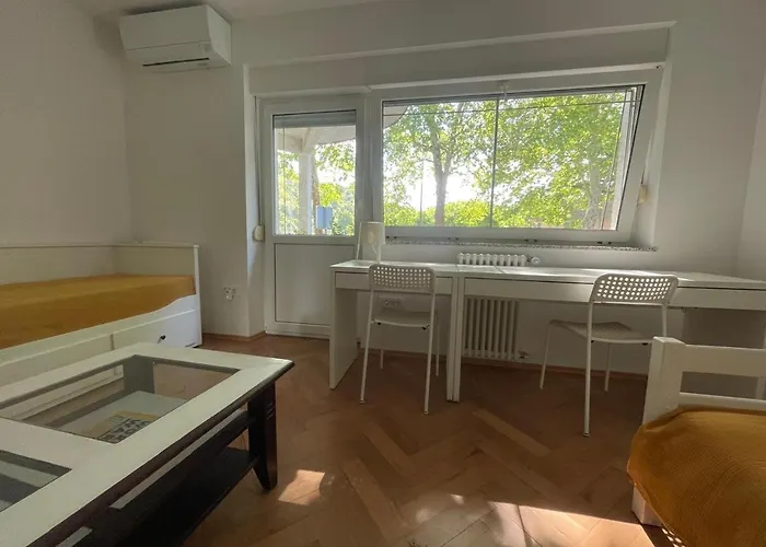 At The Burkulis' 아파트 류블랴나