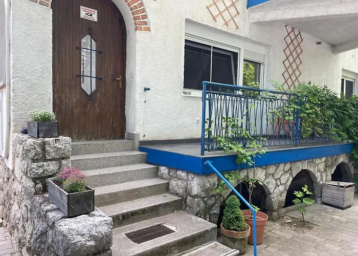 At The Burkulis' 아파트 류블랴나