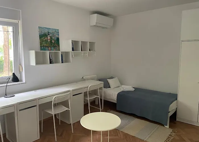 At The Burkulis' アパート リュブリャナ