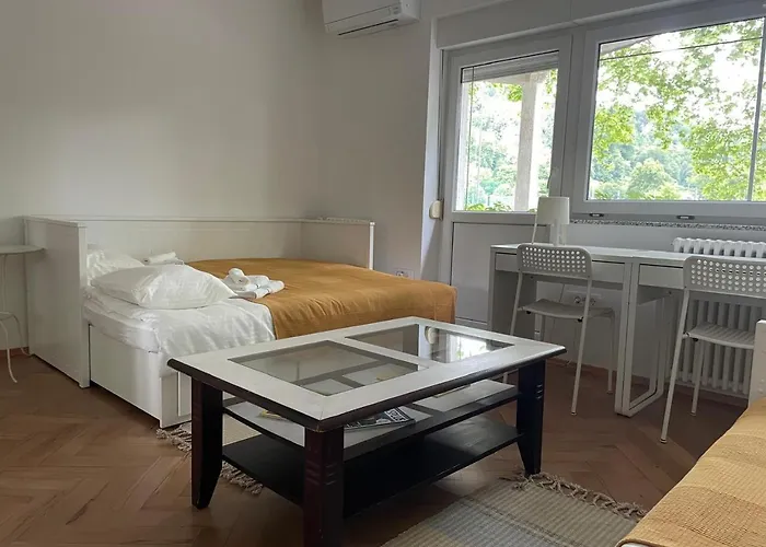 At The Burkulis' 아파트 *