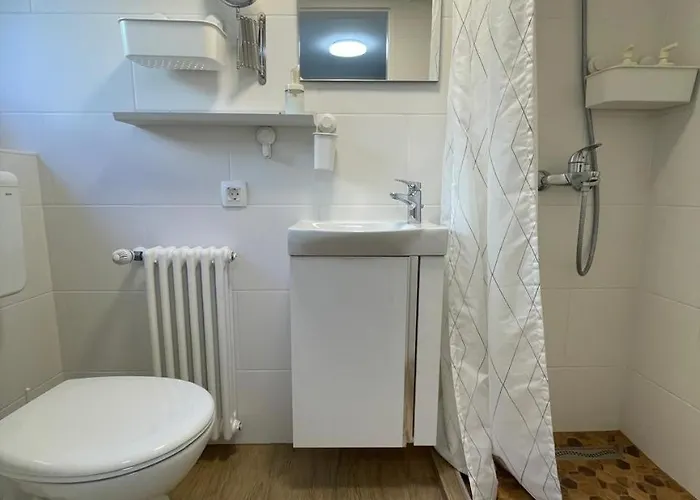 At The Burkulis' 류블랴나