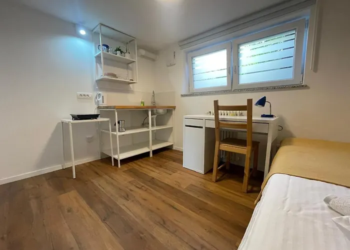 At The Burkulis' リュブリャナ